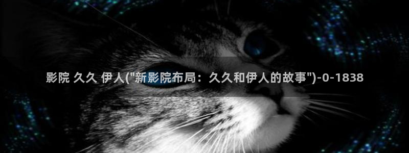 韩国伊人香煮网视频