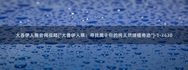 伊人久久360影院