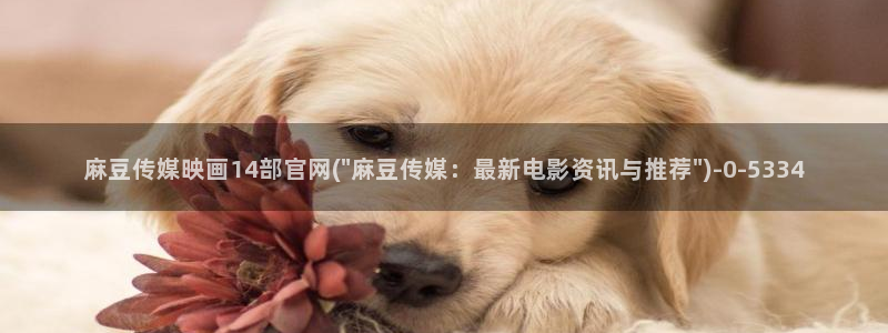 麻豆内容整理