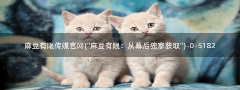 麻豆视频关于我们