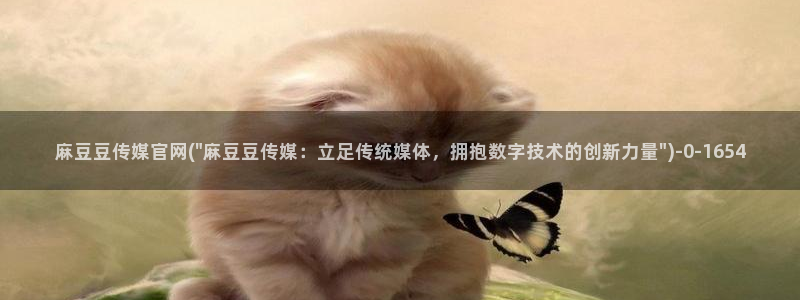麻豆视频用户体验
