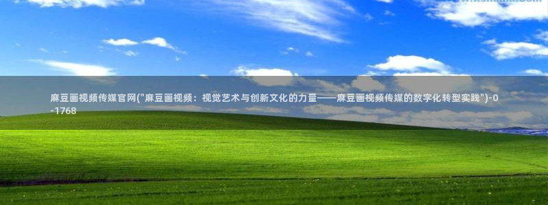 麻豆视频解说文案