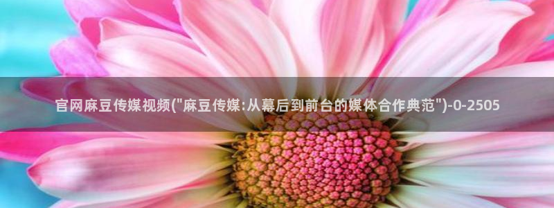 麻豆高口碑视频
