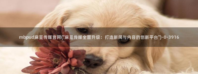 麻豆排行页