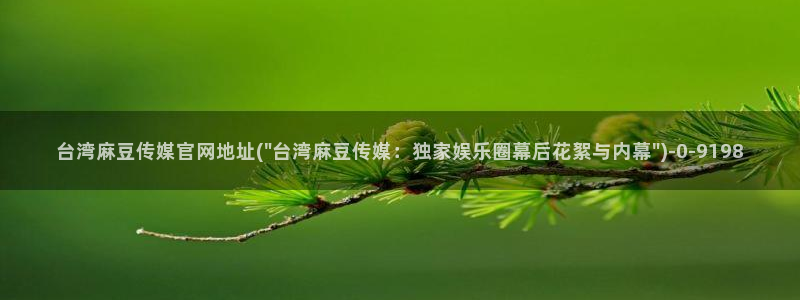 麻豆传媒新片