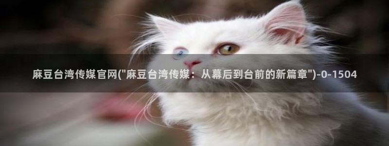麻豆榜单页
