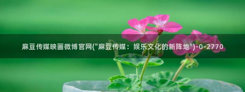 麻豆视频资料维护