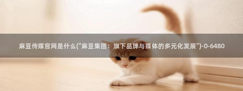 麻豆剧情视频