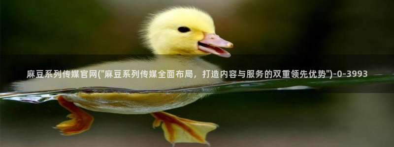 麻豆视频专题