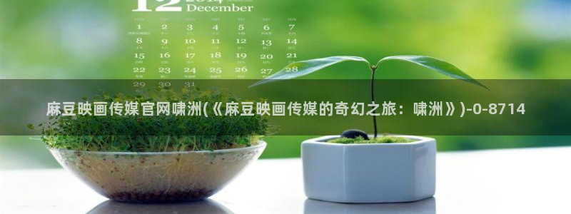 麻豆资源站模板