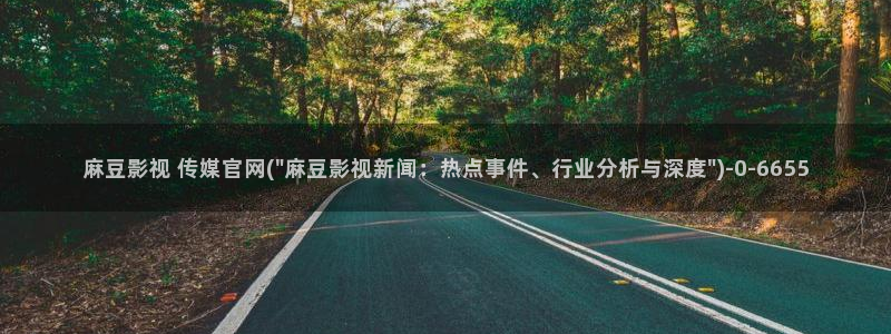 麻豆视频页面描述