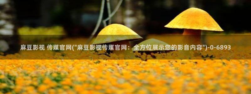 麻豆视频盘点文案