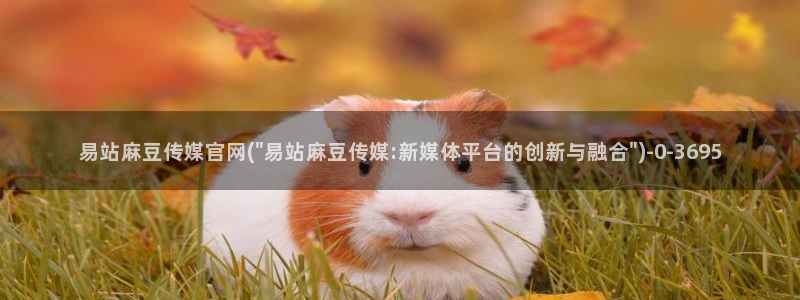 麻豆视频更新列表：易站麻豆传媒官网(\