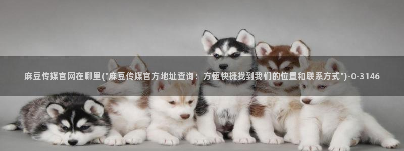 麻豆自定义库