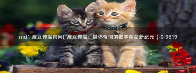 麻豆视频专题维护
