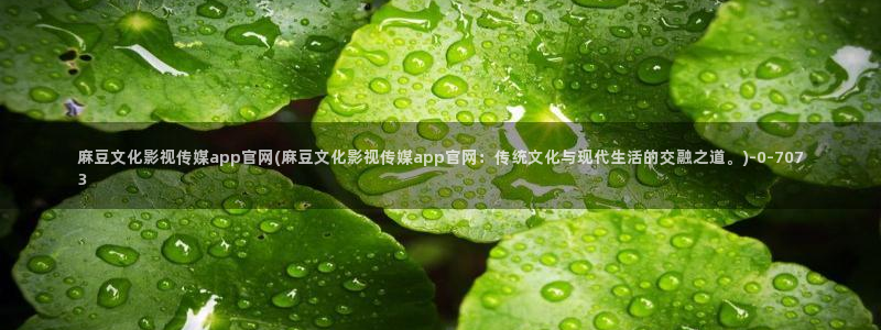 麻豆描述优化
