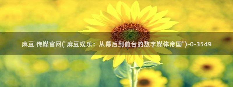 麻豆视频精准词