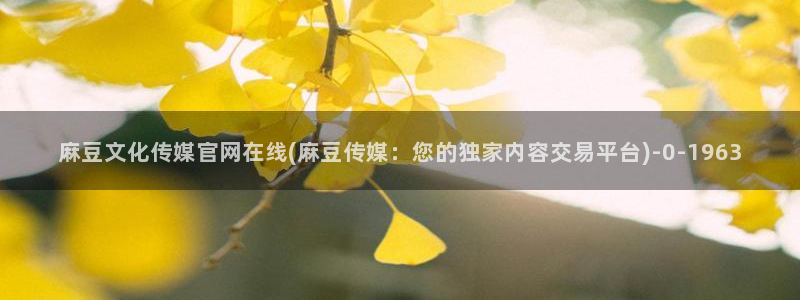 麻豆视频可读内容
