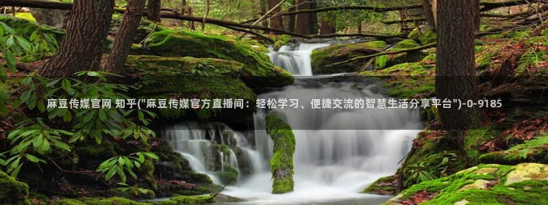 麻豆SEO模板