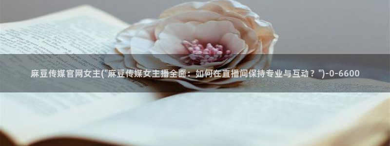 麻豆视频低竞争词