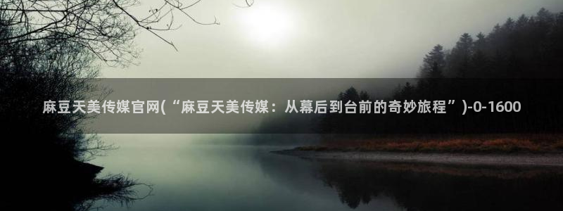 麻豆视频模板标签