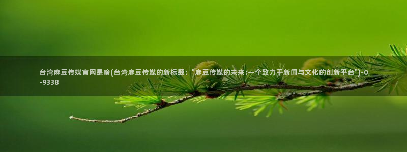 麻豆视频站关键词