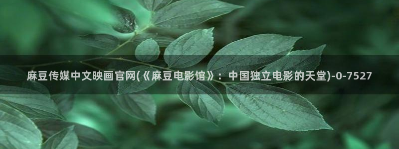 麻豆视频百度优化