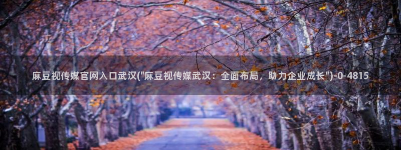 麻豆专题整理