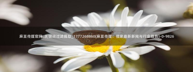 麻豆视频盘点文案