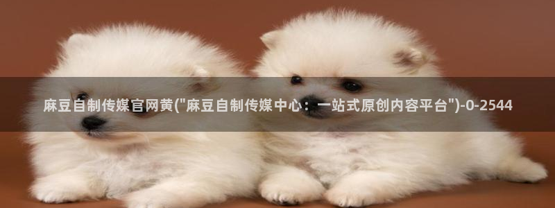 麻豆最新视频