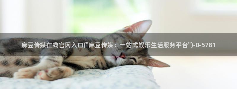 麻豆视频合集