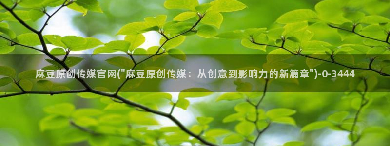 麻豆内容服务